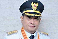 Askolani Perkenalkan Potensi Investasi Unggulan ke Investor