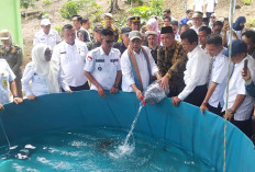 Lahan Belukar Disulap Jadi Agrowisata Produktif di Lahat, Bupati Bursah Zarnubi Turun Langsung