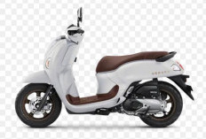 Honda Scoopy Juni 2026: Harga Semakin Terjangkau dan Tetap Jadi Primadona Skutik Retro di Indonesia