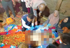Peristiwa Berdarah di Kebun Kopi, Petani Muda Tewas Ditusuk Rekan Kerja Sendiri