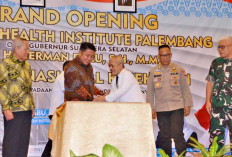   Herman Deru Dorong Peningkatan Profesionalisme Tenaga Kesehatan Sumsel