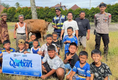 Priamanaya Group Salurkan 42 Sapi Kurban, Wujud Nyata Kepedulian Sosial Menjelang Idul Adha 1447 Hijriah