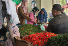 Harga Cabai Nasional September 2025: Faktor Penyebab Fluktuasi