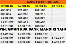 Tanpa Jaminan! Inilah Tabel Pinjaman KUR Bank Mandiri 2024, Semua Bisa Ajukan, PNS dan PPPK Juga Boleh?