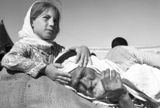 Mengenang 75 Tahun Peristiwa Nakba, Malapetaka Pembersihan Etnis dalam Sejarah Palestina