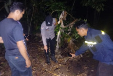 Petani di Empat Lawang Dibacok Brutal Dua Pria Bertopeng, Polisi Selidiki Motif di Baliknya