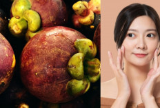 Kaya Akan Nutrisi Penting, Ini 12 Manfaat Buah Manggis untuk Kesehatan Tubuh, Nomor 3 Ciwi-ciwi Pasti Suka