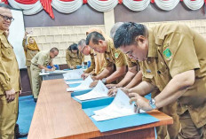 Joncik: “Tidak Tahan, Kepala OPD  Silahkan Undur Diri”