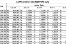 Serdik Terbit, Berikut 5 Bank yang Siap Beri Pinjaman Ratusan Juta Tanpa Agunan Bagi Guru Profesional