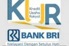 Modal Usaha Rp100 Juta Tanpa Ribet? Ini Cara Cerdas Ajukan KUR BRI 2025 Lengkap dengan Simulasi Cicilan