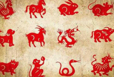 Pengaruh Shio di Kehidupan: Simbol Zodiak Tionghoa, Karakteristik Pribadi, & Nasib Berdasarkan Tahun Kelahiran