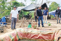 Hasil Pemetaan Masuk Wilayah Sumsel, Temuan 20 Sumur Minyak Ilegal oleh Polda Jambi di Daerah Perbatasan