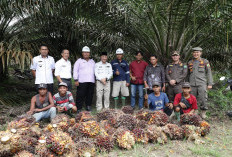 Muba Kaya Hasil Kelapa Sawit, Bukan Sekadar Minyak Bumi