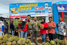 Makan Durian Sepuasnya di Empat Lawang, Cukup Bayar Rp6.800 Saja!