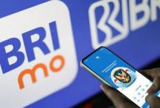 Update Sistem BRI Mobile 2025: Fitur Baru untuk Pantau Pinjaman dan Tabungan Secara Real Time