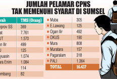 19.042 Pelamar Tak Penuhi Syarat, Hasil Seleksi Administrasi CPNS di Sumsel, Babel, Jambi dan Bengkulu