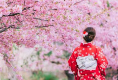 5 Negara yang Juga Terkenal dengan Bunga Sakura Selain Jepang, Tebak Ada Indonesia Gak
