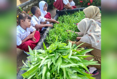 Sekolah Disulap Jadi Lumbung Pangan Mini