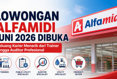Lowongan Alfamidi Juni 2026 Dibuka, Peluang Karier Menarik dari Trainer hingga Auditor Profesional