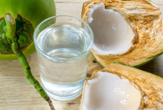 Ini Dia Manfaat Air Kelapa Muda untuk Buka Puasa