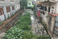 Kesadaran Masyarakat Minim, Tetap Buang Sampah di Aliran Sungai