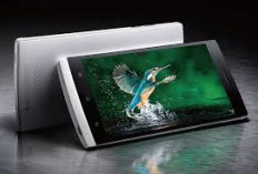 Oppo Find 5F: Kombinasi Elegan Gaya dan Performa Andal di Kelas Menengah