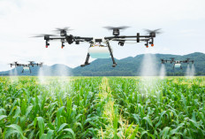 Teknologi Smart Farming Menekan Dampak Global Warming, Memacu Perekonomian RI