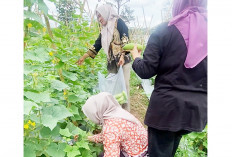 Jadikan Pulo Mas Kawasan Agrowisata