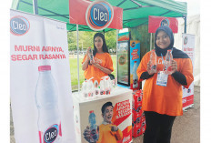 Cleo Hadir Segarkan SBL Gubernur Sumsel Cup 2025