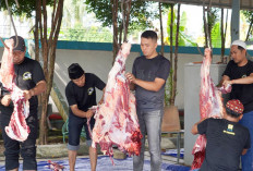 Salurkan Daging Kurban ke Warga, Semarak Iduladha 1446 H
