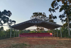  Bangun Gedung Serbaguna,  Kembangkan Ternak Sapi 