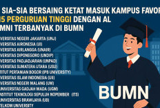 Tak Sia-Sia Bersaing Ketat! Ini 15 Perguruan Tinggi dengan Alumni Terbanyak di BUMN