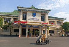 Alhamdulillah! BKN Terbitkan Surat Pengantar, 2.871 Tenaga Honorer di Lahat Lolos Seleksi PPPK Paruh Waktu