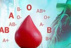 Golongan Darah Bukan Hanya Identitas, tapi Juga Indikator Risiko Serangan Jantung, Mana Paling Rentan?