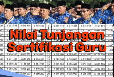 Nilai Tunjangan Sertifikasi PNS, PPPK, dan Honorer 2025