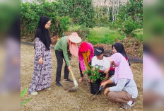 Penyuluh BPP Prabumulih Timur Pantau Pertumbuhan Jagung di Gunung Ibul