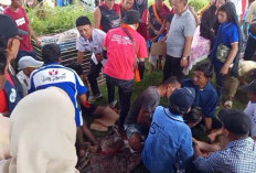 2 Peserta Lomba Bidar Pingsan, Posko Kesehatan Tak Siaga, Penanganan Dilakukan Secara Tradisional