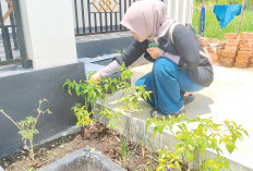 Utamanya Kemauan dan Kretifitas