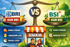 Pinjaman KUR BRI vs Pinjaman KUR BSI 2026, Mana Lebih Ringan dan Menguntungkan untuk UMKM?