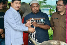 Pemkab Muba Distribusikan Hewan Kurban ke Masjid, Ponpes hingga Penyandang Disabilitas