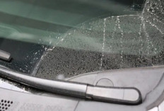 Hemat Cuan, Bersihkan Jamur dari Kaca Mobil Cukup Pakai Bahan-Bahan Rumahan
