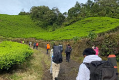 Destinasi Wisata Tahun Baru di Kota Pagar Alam yang Menawan