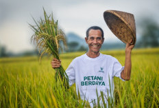 Kemenag dan BAZNAS Perkuat Kolaborasi dalam Integrasi Data Ekosistem Zakat