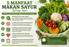 5 Manfaat Makan Sayur Setiap Hari untuk Kesehatan Tubuh