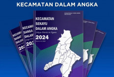 Ingin Tahu Muba dengan Basis Data Seutuhnya? Baca Buku Ini