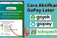 GoPayLater 2025 Hadirkan Cicilan Tanpa Bunga dan Cashback Belanja: Lebih Fleksibel, Lebih Hemat!