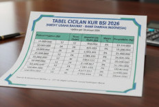 Simulasi Cicilan KUR BSI 2026: Pinjam Rp500 Juta, UMKM Dapat Napas Panjang untuk Ekspansi