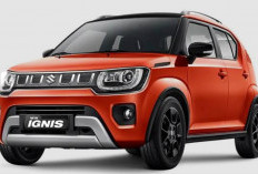 Suzuki Ignis 2026 Resmi Meluncur: Tampang SUV Kian Garang, Super Irit, Sahabat Setia Kantong Mahasiswa