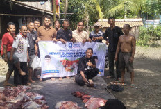 Iduladha Penuh Berkah! H Iskandar SE Bagikan Puluhan Sapi dan Kambing Kurban