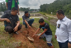 Petani Nekat Curi Kabel Tanam di Ruas Tol: Aksi Berulang yang Berakhir di Balik Jeruji Besi